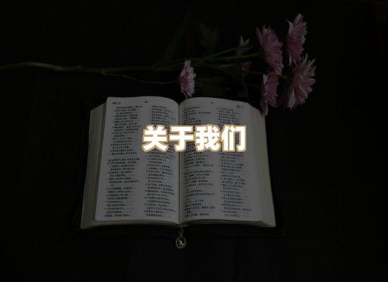 关于丹选阅读站